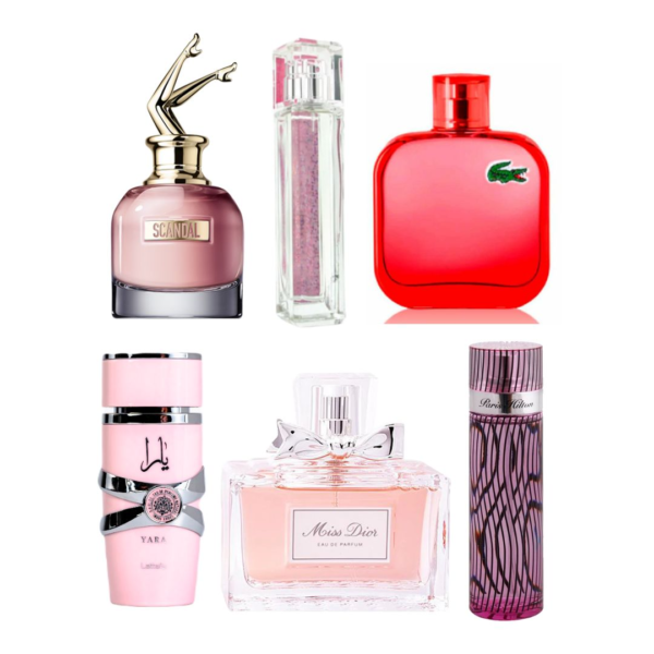 KIT 6 PERFUMES DAMA SHOP MG OFERTA - VivvaBella™